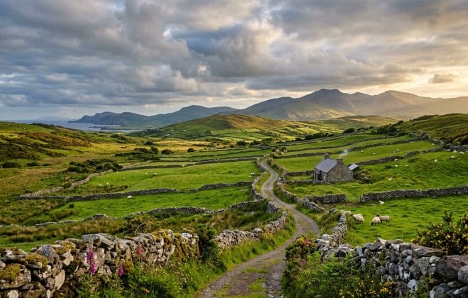 Irish Gaelic for Beginners: Why Learn It and How to Start Today - Scottish Gaelic learning illustration